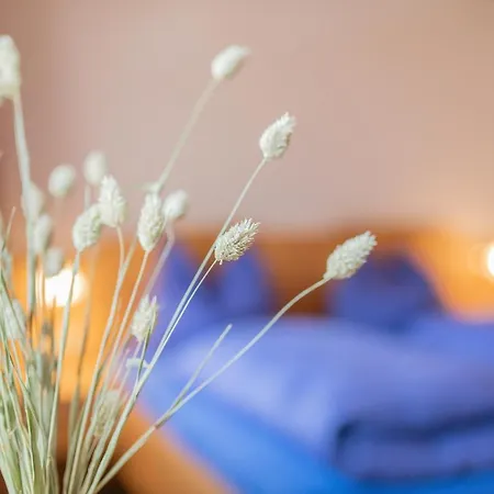 Alloggio per agriturismo Lohningbauer