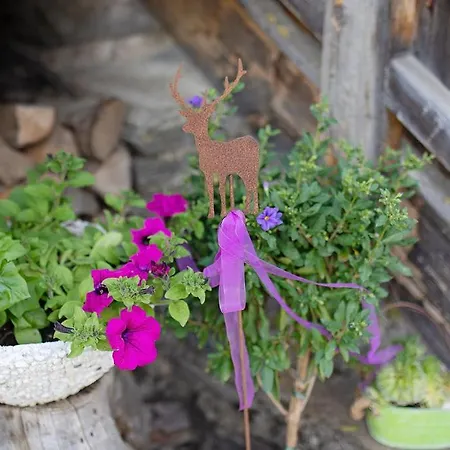 Lohningbauer Bauernhof *