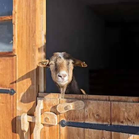Lohningbauer * Maria Alm am Steinernen Meer